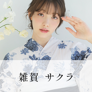 メインモデル